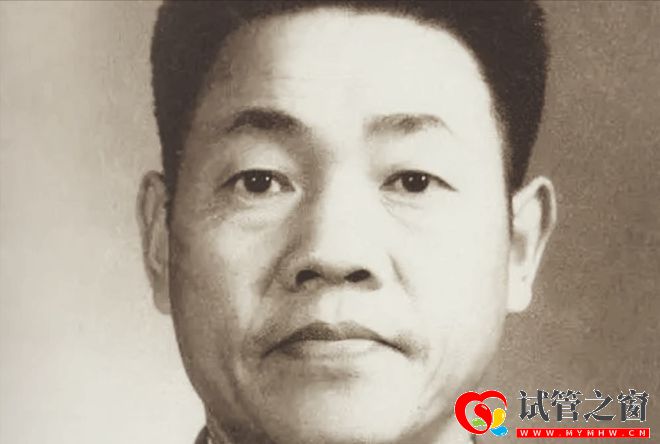 1979年大战在即,老将军三个孩子去参战,我打算只回来一个(图5)