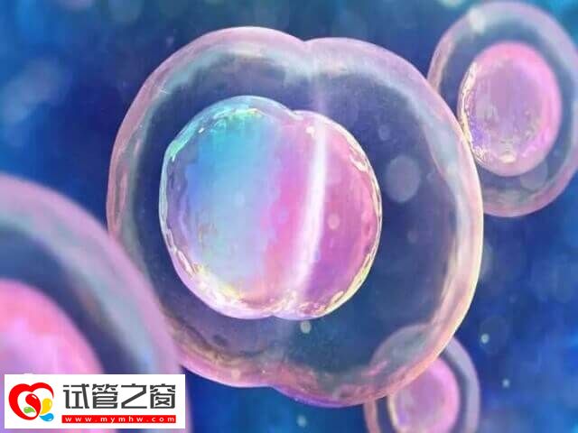 不好的生活习惯对卵子质量有伤害