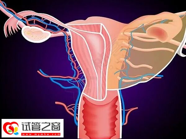 子宫出现疾病会引起不孕