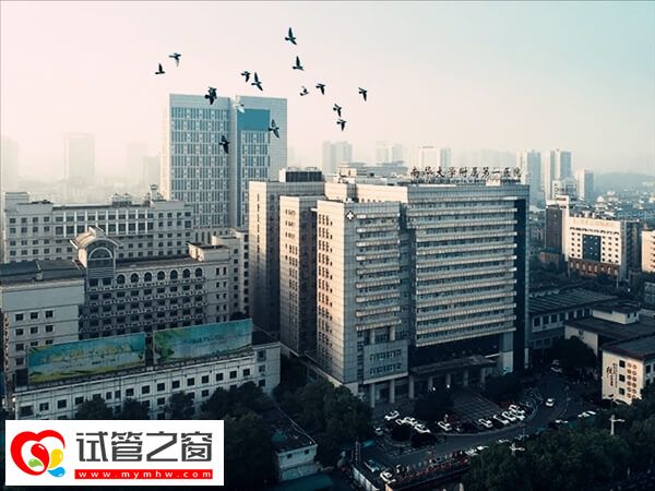 南华大学附属第一医院二代试管成功率较高