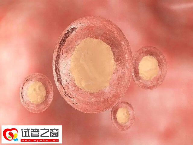 沧州人民医院二次移植冻胚费用不高